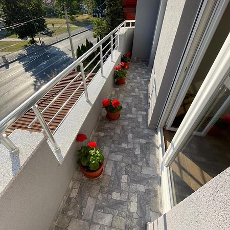 Apartman Ambijent أراندجيلوفاك المظهر الخارجي الصورة