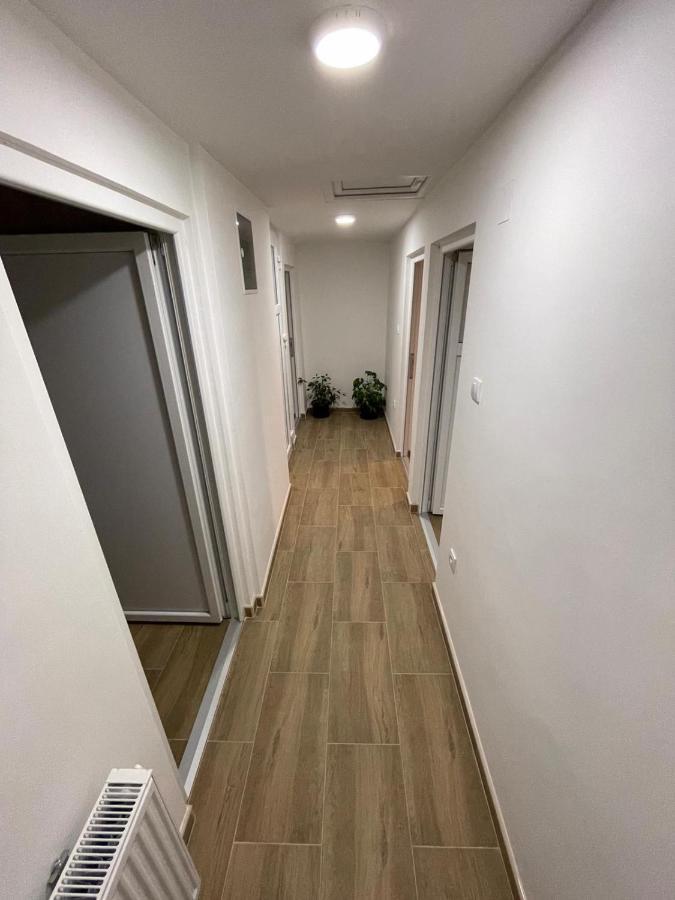 Apartman Ambijent أراندجيلوفاك المظهر الخارجي الصورة